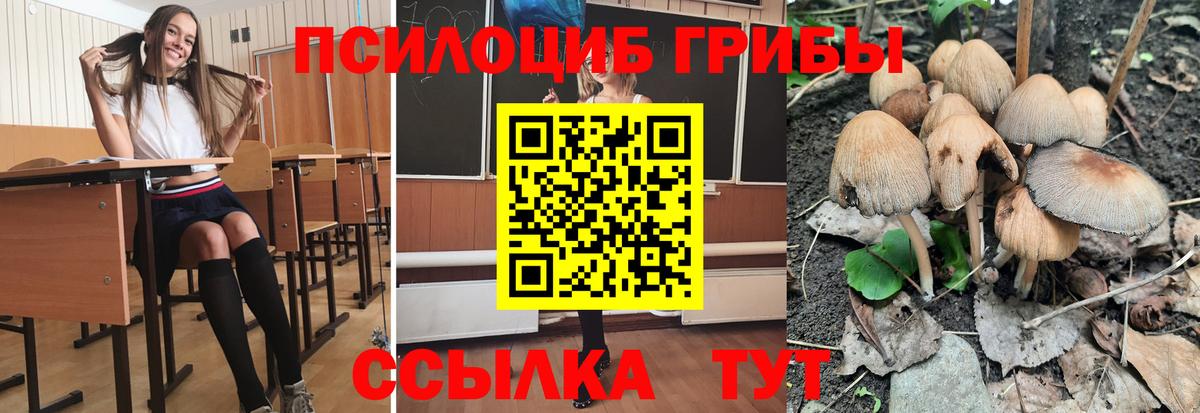 Качканар  купить наркотики цена  Вход с VPN  Галлюциногенные грибы мицелий 